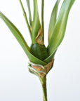 16" Faux Mini Orchid Stem with Leaves and Roots