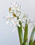 16" Faux Mini Orchid Stem with Leaves and Roots