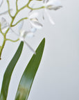 16" Faux Mini Orchid Stem with Leaves and Roots