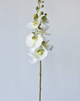33" Faux White Phalaenopsis Orchid Stem