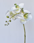 33" Faux White Phalaenopsis Orchid Stem