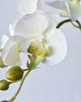 33" Faux White Phalaenopsis Orchid Stem