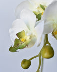 33" Faux White Phalaenopsis Orchid Stem