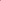 Maple Leaf and Magnolia - Curated Bundle