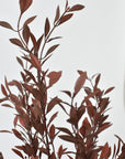 18" Faux Brown Willow Bush