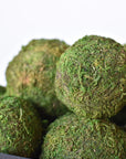 4" Moss Balls (set of 6)