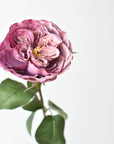 26" Faux Garden Rose - Vintage Dusty Pink Purple