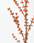 43" Faux Outdoor Orange Berry Stem