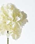 24" Faux Hydrangea Stem Creamy White