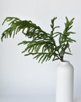 36" RealTouch Norfolk Pine Spray Stem