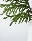 36" RealTouch Norfolk Pine Spray Stem