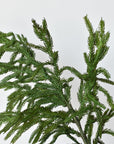 36" RealTouch Norfolk Pine Spray Stem