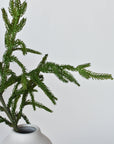 36" RealTouch Norfolk Pine Spray Stem