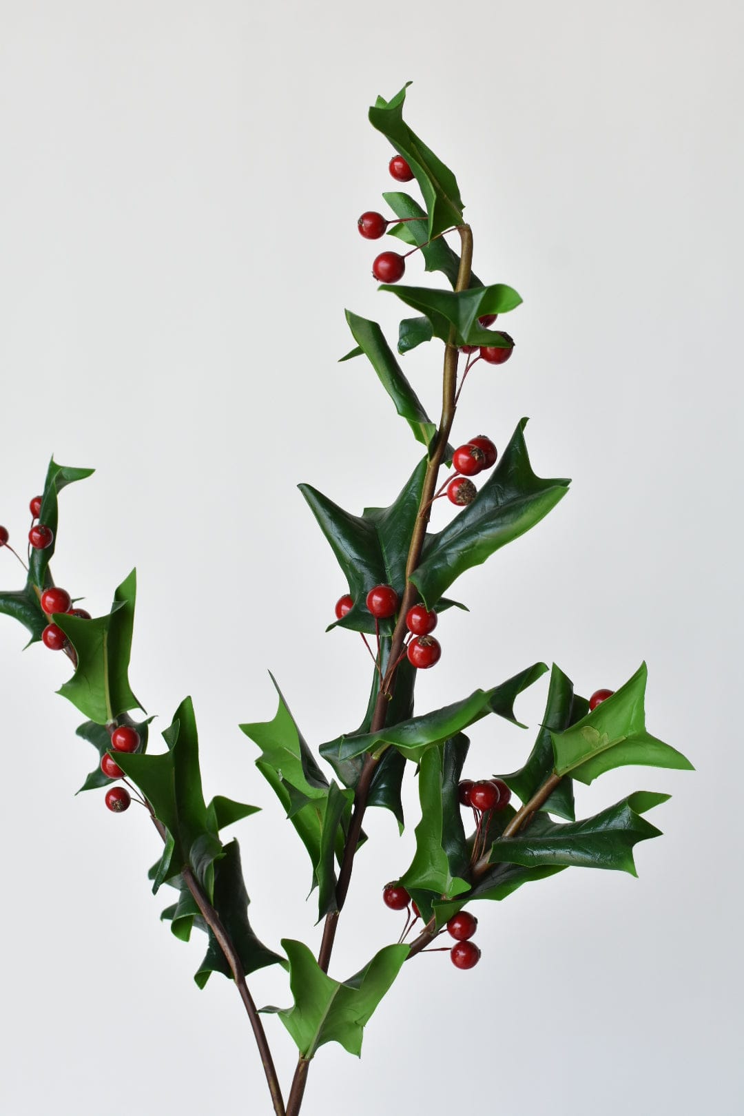 Wholesale holly berry To Decorate Your Environment 