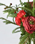 Red Ranunculus/Holly/Norfolk Pine Drop In X01