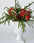 Red Ranunculus/Holly/Norfolk Pine Drop In X01