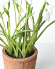9.5" Faux Snowdrop it Terracotta Planter Arrangement