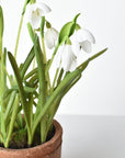 9.5" Faux Snowdrop it Terracotta Planter Arrangement