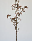 38" Faux Brown Sedum Berry Branch