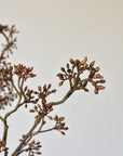 38" Faux Brown Sedum Berry Branch