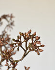 38" Faux Brown Sedum Berry Branch