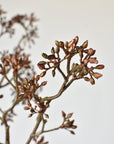 38" Faux Brown Sedum Berry Branch