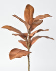 21" Faux Magnolia Leaf Stem : Toffee