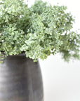 9" Faux Thyme Bush