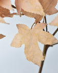 34" Faux Tan Maple Leaf Bundle (includes 2 Stems)
