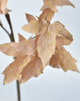34" Faux Tan Maple Leaf Bundle (includes 2 Stems)