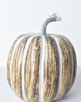 7"Hx5.5"W Faux Pumpkin Beige White - Tall