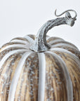 7"Hx5.5"W Faux Pumpkin Beige White - Tall