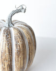 7"Hx5.5"W Faux Pumpkin Beige White - Tall