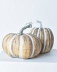 6.5"Hx7.5"W Faux Pumpkin Beige White - Wide
