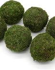 3" Moss Balls (set of 6)