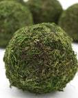 3" Moss Balls (set of 6)
