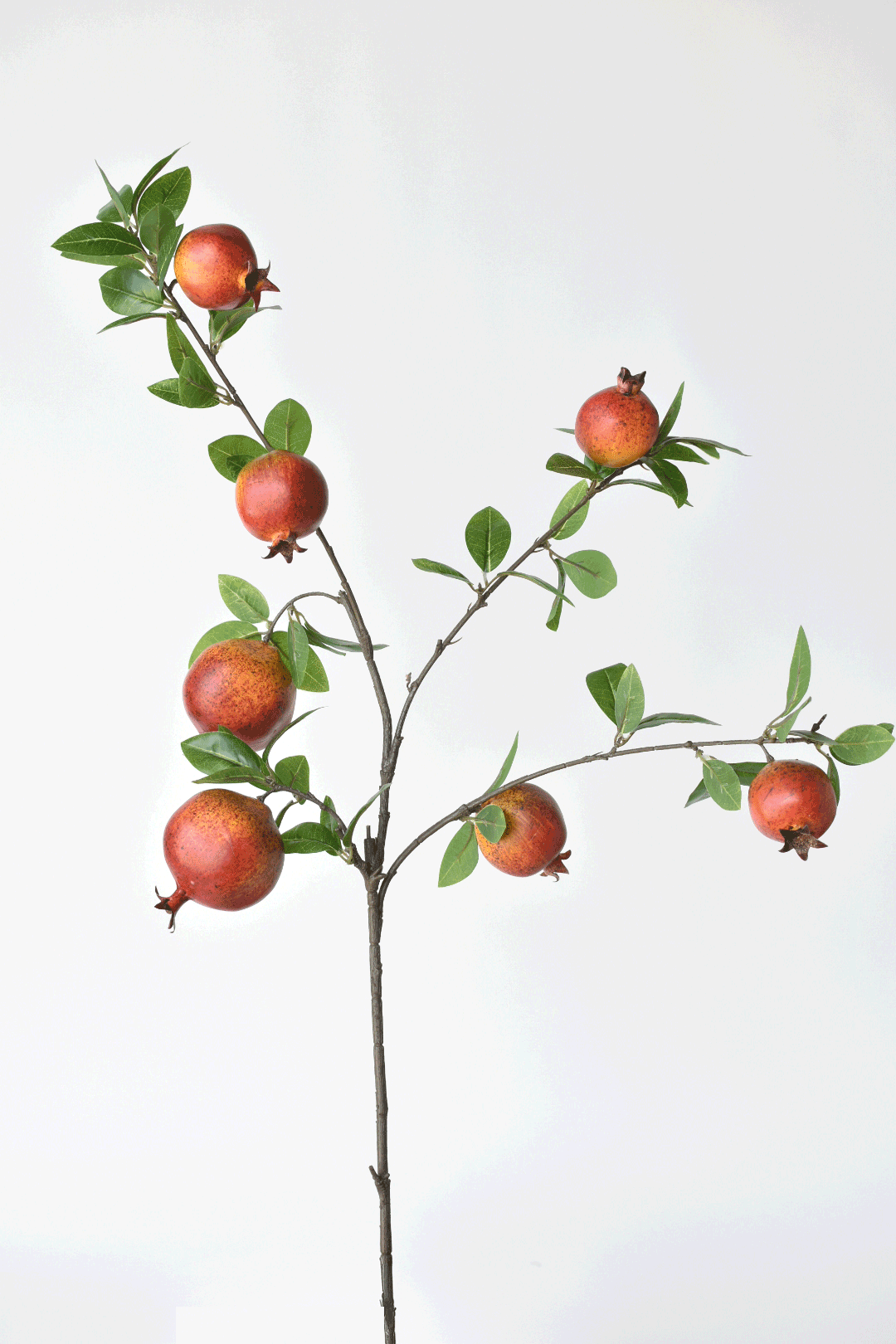 files/pombranch-new.png