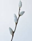 42" Faux Pussy Willow Stem