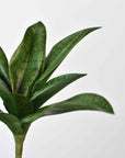 7" Faux Sanseveria Succulent Stem