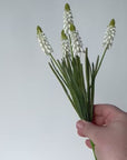 12.5" Faux White Muscari Bush Grape Hyacinth