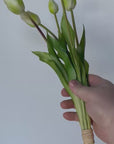 18" Faux Tulip Stem Bundle White Green