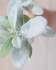 28" Faux Lambs Ear Leaf Stem