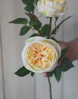 29" Faux Cabbage Rose Stem Yellow / Apricot