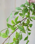 32" Faux Nandina Leaf Stem