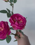 29" Faux Fuchsia Cabbage Rose Stem