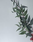36" Faux Dark Green/Gray Ruscus Leaf Stem
