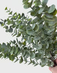 27" Faux Green Eucalyptus Bundle