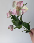 25" Faux Helleborus Stem Pink / Green