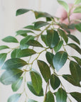 26" Faux Ruscus Leaf Stem