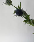 32.5" Faux Blue Thistle Stem